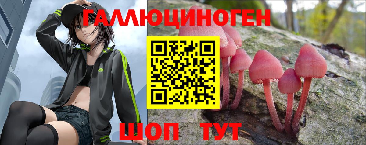 Псилоцибиновые грибы Cubensis  Вход с VPN  Галлюциногенные грибы Cubensis  Муром 